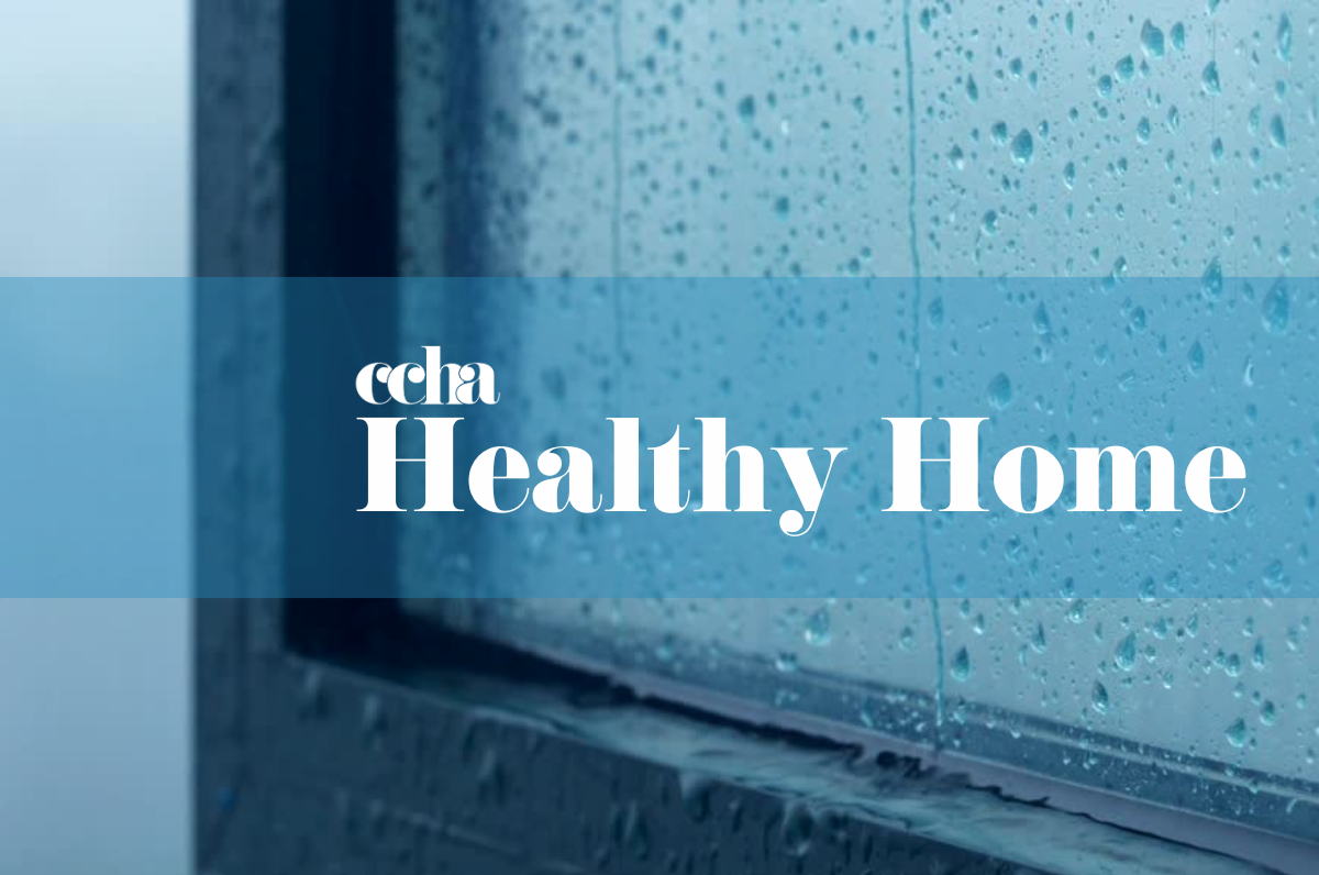Top tips to keep your home healthy